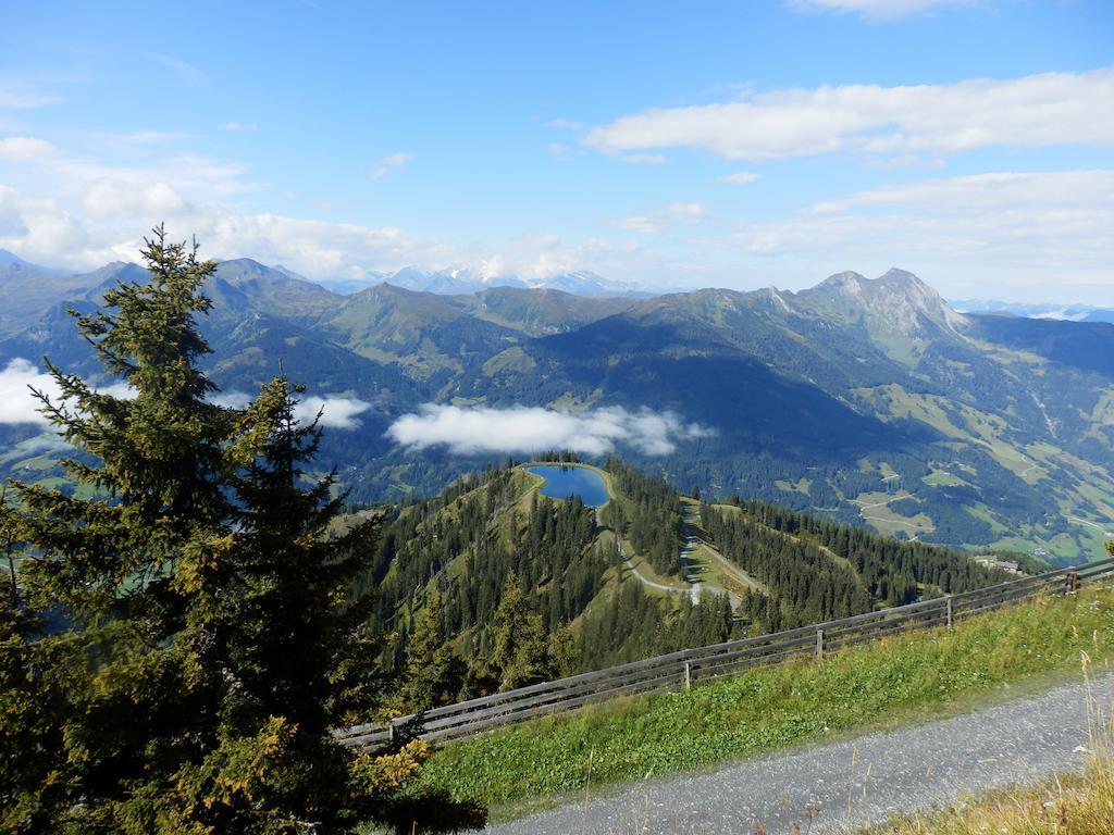 Winklers Gipfelblick Chalet, Inklusive Alpentherme - Ganzjahrig, Gasteiner Bergbahn - Nur Sommer Бад Хофгаштайн Экстерьер фото